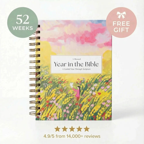 A Blessed Year in the Bible Study