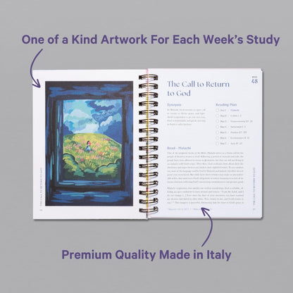 A Blessed Year in the Bible Study